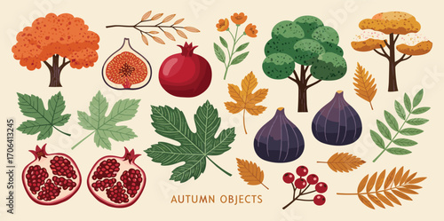 Vibrant autumn nature collection with colorful fall trees, ripe figs, pomegranates, and diverse seasonal leaves, ideal for harvest and seasonal design projects