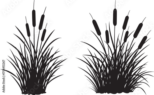 Two cattail plants silhouette on white background