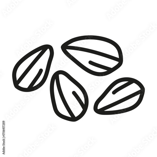 Hand drawn outline sunflower seeds isolated on white background. Vegan high protein.