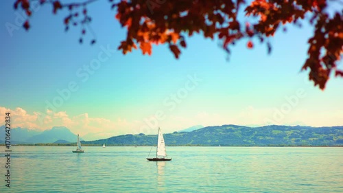Sailboats on lake  White sailboats sailing on calm lake water under blue sky with red autumn leaves above