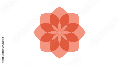 a vibrant floral design with overlapping petals in warm hues