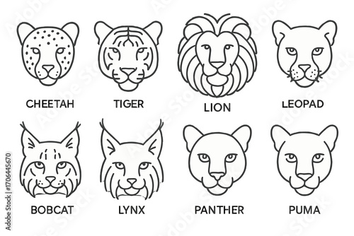 Wild Cat Patterns Icons. Line style icons of wild cat patterns: cheetah with spots, tiger with stripes, lion with mane pattern,