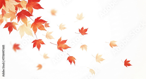 Wallpaper Mural Red and orange maple leaves falling on white background, creating autumnal scene ideal for seasonal designs, cards, or website banners Free space for text Torontodigital.ca
