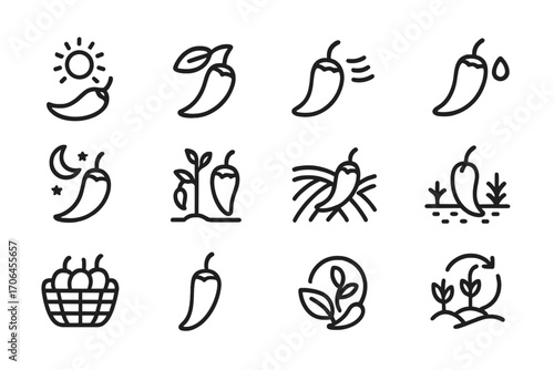Nature's Pepper Icons. Line style icons of pepper symbols in nature: pepper with sun, leaf curl pepper, wind-blown pod, raindrop