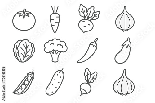 Line Style Garden Produce. Line style icons of garden produce: tomato, carrot, beetroot, onion; lettuce head, broccoli floret,