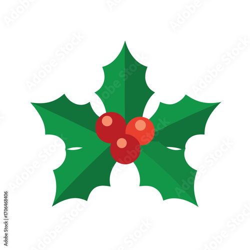 holly leaves and berries on white background 