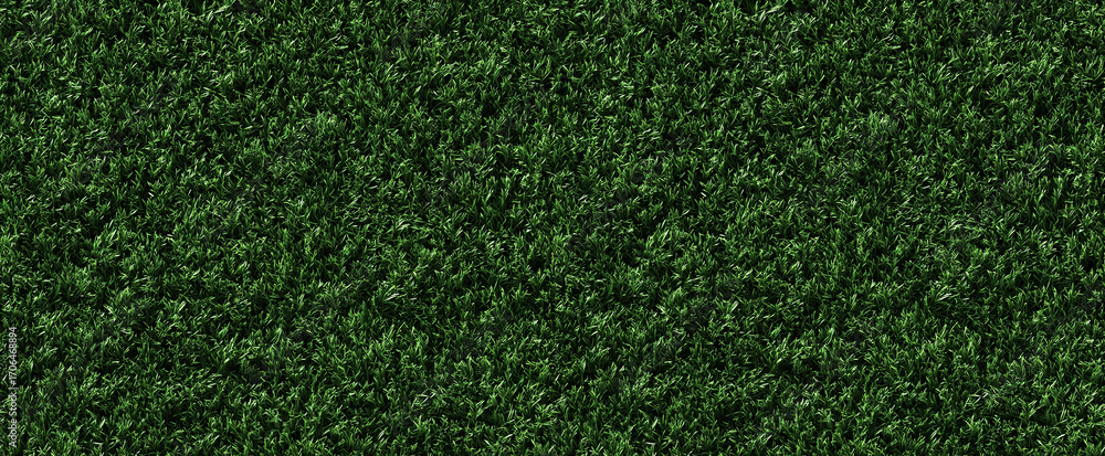 Obraz premium seamless pattern: green grass on the lawn. wild grass