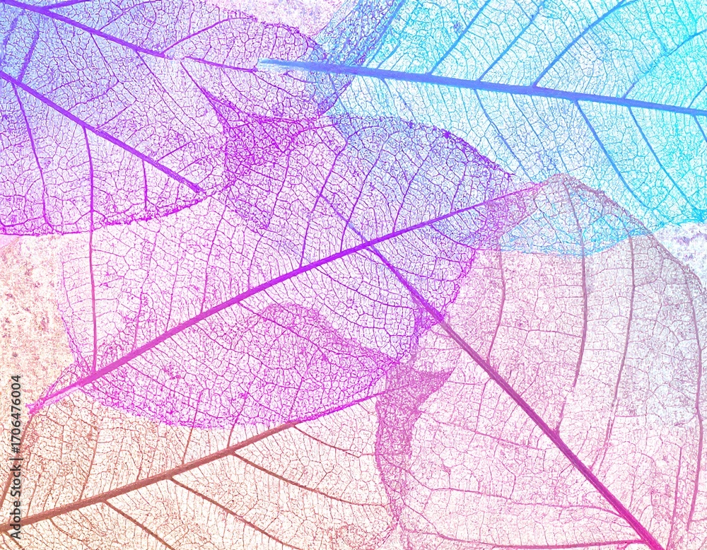 Obraz premium Colorful, translucent leaf veins