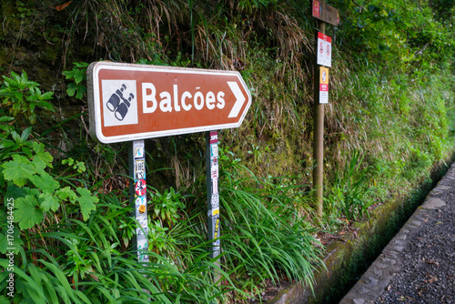 Wallpaper Mural Scenic route to Levada dos Balcoes in Madeira, Portugal invites explorers to discover nature's beauty Torontodigital.ca