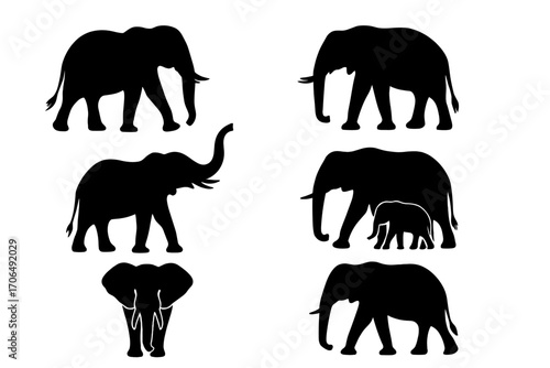 set of elephants