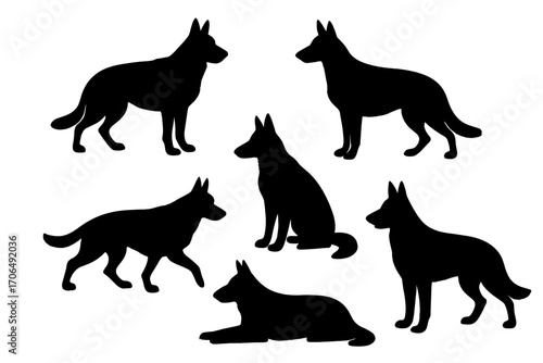 Canine Quartet with a Puppy: Four Dogs and a Puppy