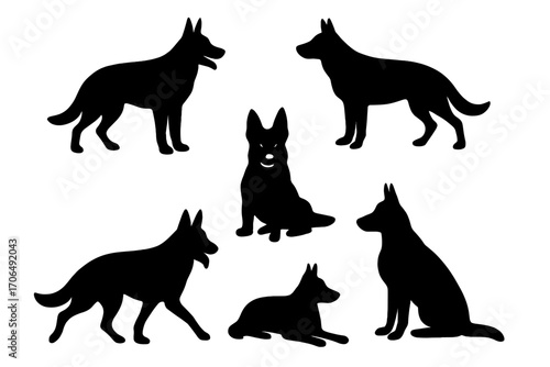 Silhouetted Dogs in a Group: Six Canines