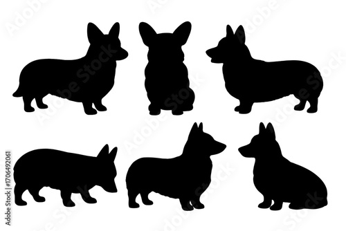 Silhouetted Canines and Puppies