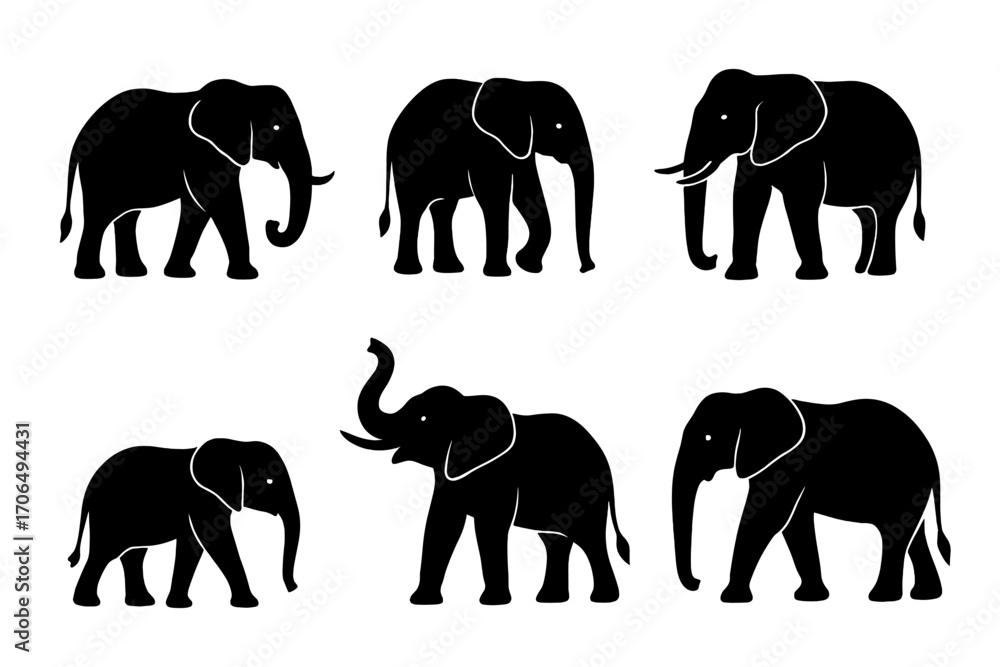 Obraz premium set of elephants silhouettes