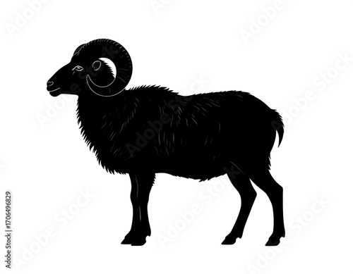 Silhouette of a ram
