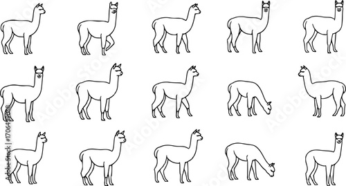 Alpaca silhouette, Alpaca svg, Alpaca vector, Alpaca clipart, Alpaca silhouette bundle set