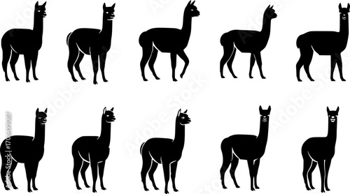 Alpaca silhouette, Alpaca svg, Alpaca vector, Alpaca clipart, Alpaca silhouette bundle set