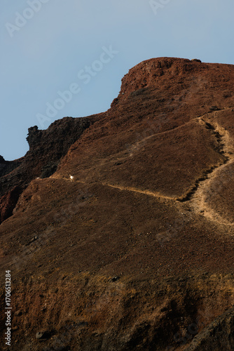 A volcanic landscape with a wild horse trotting through a rocky trail