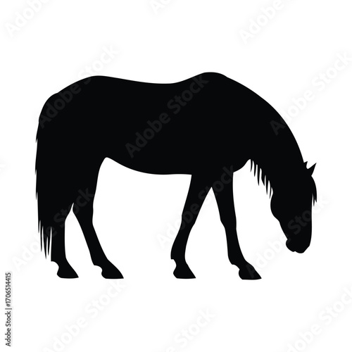 Vector art of silhouette of a horse grazing, side view