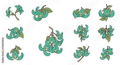 A collection of stylized jade vine illustrations featuring turquoise claw-shaped flowers on brown stems.