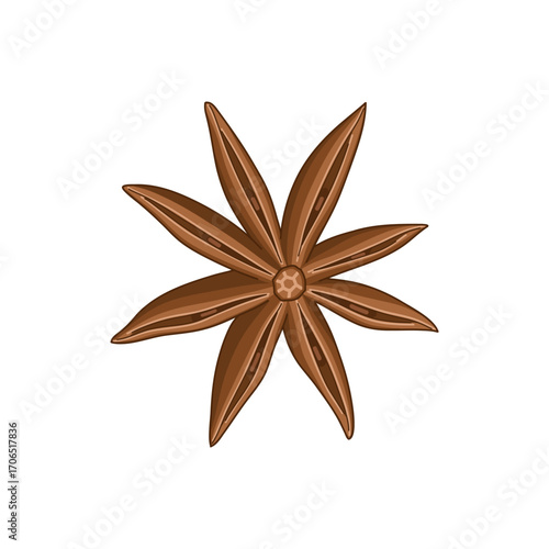 Vector illustration of star anise spice, detailed botanical design isolated on white background.