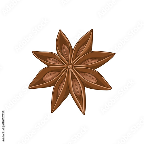Vector illustration of star anise spice, detailed botanical design isolated on white background.