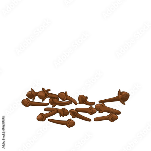 Vector illustration of dried cloves spice isolated on white background.