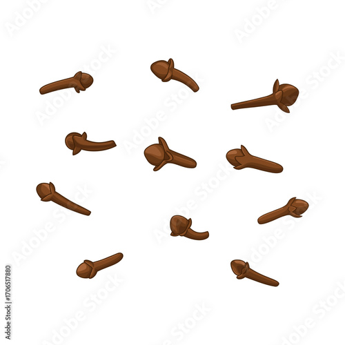 Vector illustration of dried cloves spice isolated on white background.