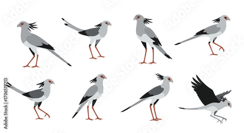 Collection of Eight Stylized Illustrations of Secretary Birds in Various Poses.