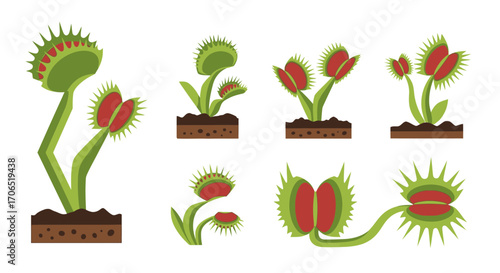 Collection of flat vector Venus flytrap illustrations with spiky green leaves and open or closed red traps, depicted in various growth stages and poses.