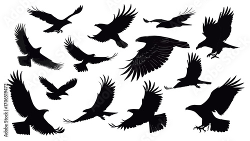 Silhouette illustration showing a flock of eagles soaring and flying against a white background space