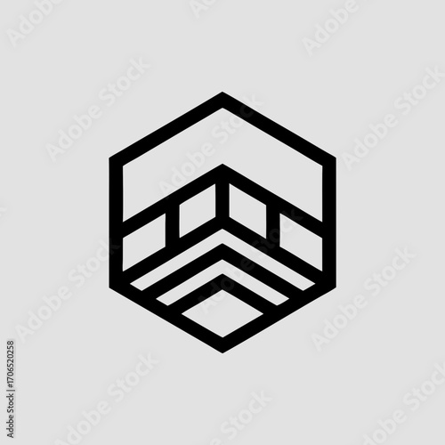 Abstract geometric hexagon logo design with clean lines and a modern minimalist aesthetic representing growth and structure