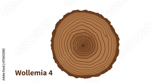 Detailed illustration of a circular tree trunk slice with concentric brown growth rings and rough, dark bark.