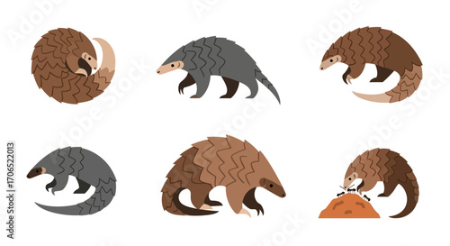 Diverse Collection of Stylized Pangolin Illustrations in Various Poses.