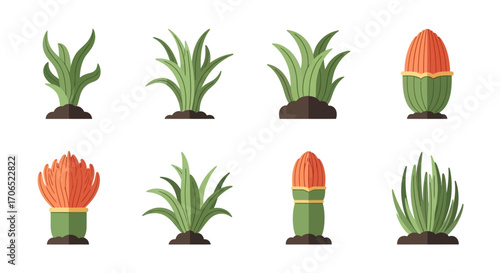 Set of stylized green plants and orange cacti with soil, flat vector design.