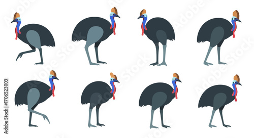 Vector Illustration of Eight Cassowary Birds in Various Poses and Styles.