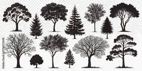 Collection of diverse tree silhouettes including deciduous and coniferous species in black and white