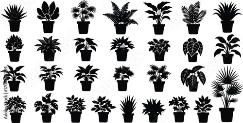 Potted plant silhouettes vector illustration, indoor houseplant icon set, decorative foliage design, botanical leaf graphic, home garden and greenery clipart