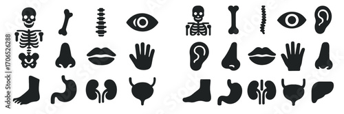 Collection of simple black shapes representing human anatomy parts on a white background for educational use