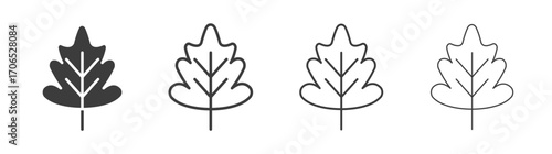 Oak leaf with veins icon style illustration. EPS 10 file