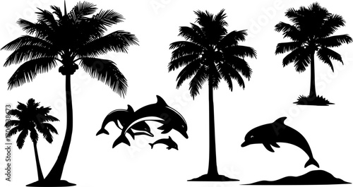 Palm trees and dolphins vector