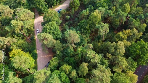 Aerial view of a forested area with two winding paved roads and sparse traffic. Dense green canopy surrounds the infrastructure, highlighting the contrast between nature and human access routes.