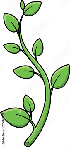 Green plant stem with fresh leaves simple vector illustration for nature and botanical design elements