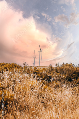 Modern wind turbines rising above tall golden grass and bushes on a hillside, generating renewable energy against a dramatic pastel sunset sky with colorful clouds