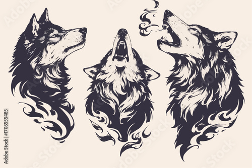 wolf vector illustration