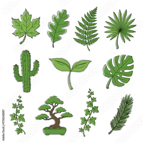 Set of  plant icons in hand drawn green doodle style. Vector illustration with maple leaf, oak leaf, fern, palm leaf, cactus, monstera, sprout, bonsai, ivy, pine branch