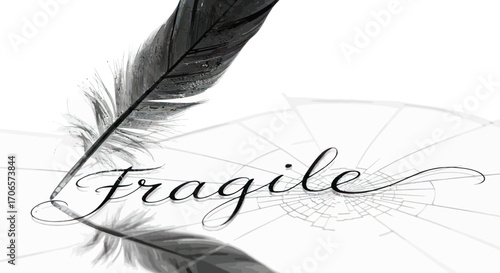 Conceptual artwork depicting fragility with feather, cracked glass, and calligraphy