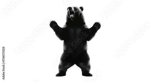 Menacing bear standing upright in black and white isolated for impactful graphic design and