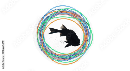 Stylized aquatic illustration featuring a fish silhouette surrounded by vibrant circles