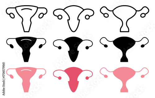 Uterus icon glyph and line style pack